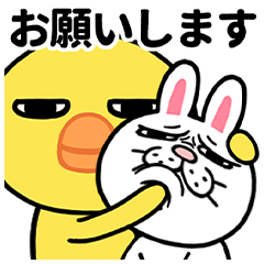 [LINEスタンプ] 大きな目のヒヨコの日常生活