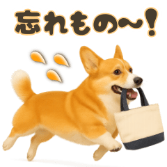 [LINEスタンプ] コーギーちゃんの毎日使う！家族連絡・友人