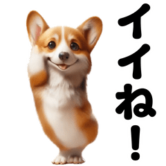 [LINEスタンプ] 踊る！コーギー！