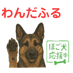 [LINEスタンプ] 押しワン☆シェパード かしこカワイイ！