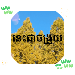 [LINEスタンプ] クメール語シェムリアップ州で日常挨拶元気