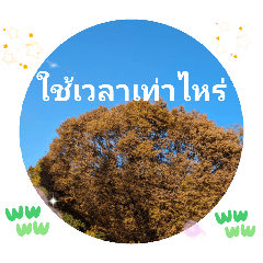 [LINEスタンプ] 日常挨拶歴史と文化が息づく大都市生活人生