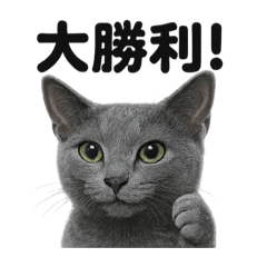 [LINEスタンプ] 【褒め上手】リアルすぎるロシアンブルー