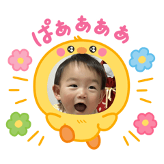 [LINEスタンプ] キノコの可愛いスタンプ