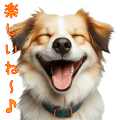 [LINEスタンプ] 笑ってごまかす犬スタンプ vol.1