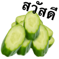 [LINEスタンプ] きゅうり 【タイ語のみ】