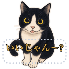 [LINEスタンプ] ハチワレ猫の暮らし《メッセージスタンプ》