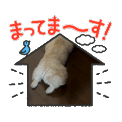 [LINEスタンプ] ペキニーズのぽて