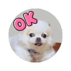 [LINEスタンプ] 良い日と良い日々に