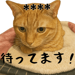 [LINEスタンプ] しゃべる小花達（カスタムスタンプ）