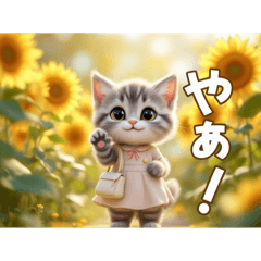 [LINEスタンプ] 可愛いニャンコのkiraraちゃん1ー日常