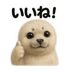 [LINEスタンプ] 【褒め上手】リアルすぎるワモンアザラシ