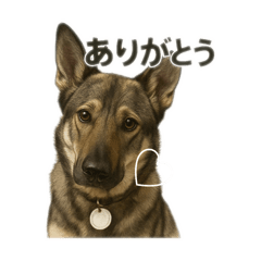 [LINEスタンプ] 元野犬ドラ＆フレブルさんちゃん
