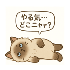 [LINEスタンプ] ヒマラヤン猫×天然ドジっ子 LINEスタンプ