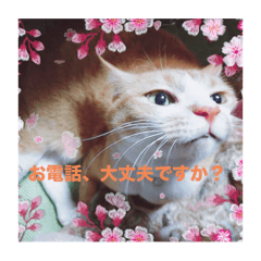 [LINEスタンプ] サヨナラ