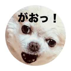 [LINEスタンプ] チンパンとちっこいの