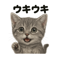 [LINEスタンプ] 【感情表現】マンチカンのワクワクスタンプ