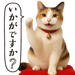 [LINEスタンプ] 敬語なリアル猫