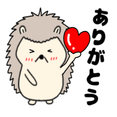 [LINEスタンプ] 【毎日使える】ハリネズミのはーちゃん