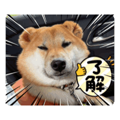 [LINEスタンプ] はちみつ君Part1