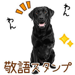 [LINEスタンプ] 敬語の黒ラブスタンプ