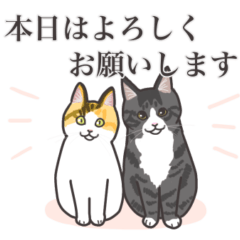 [LINEスタンプ] こめこの猫スタンプ[敬語]
