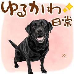 [LINEスタンプ] いつでも使える黒ラブスタンプ