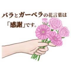 [LINEスタンプ] 花言葉で想いを伝えるスタンプ