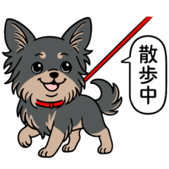 [LINEスタンプ] チワワ(ロングコート＋ブラック＆タン)