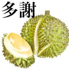 [LINEスタンプ] 熟した ドリアン 【台湾語のみ】2