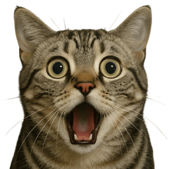 [LINEスタンプ] びっくり顔（猫編）の画像（メイン）