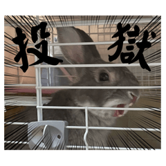 [LINEスタンプ] うさぎのごま吉2
