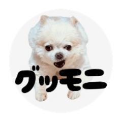 [LINEスタンプ] おちびごあいさつ