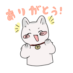 [LINEスタンプ] しろねこの連絡スタンプ