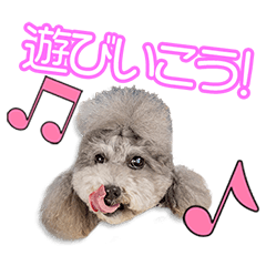 [LINEスタンプ] 波夛野家のキキちゃん2