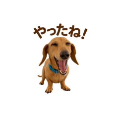 [LINEスタンプ] ケンのstamp