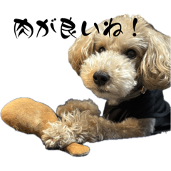 [LINEスタンプ] かわいい犬！ムクりん！7