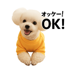 [LINEスタンプ] そう君stamp