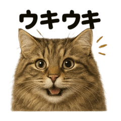 [LINEスタンプ] 【感情表現】サイベリアンのウキウキライン