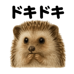 [LINEスタンプ] 【感情表現】ハリネズミのウキウキスタンプ