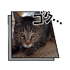 [LINEスタンプ] 虎和88 Part 2