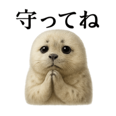 [LINEスタンプ] お祈りするワモンアザラシアザラシ赤ちゃん