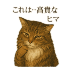[LINEスタンプ] ノルさんは高貴な猫 ノルウェージャン