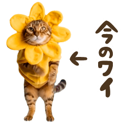 [LINEスタンプ] 動く！リアル着ぐるみ猫2
