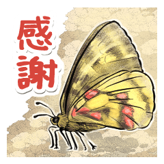 [LINEスタンプ] 日本のチョウ図鑑