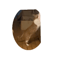 [LINEスタンプ] メロ動画