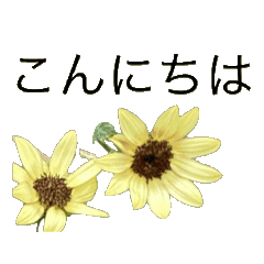 [LINEスタンプ] 文字の大きいお花の挨拶スタンプ