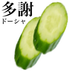 [LINEスタンプ] きゅうり 【台湾語】