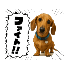 [LINEスタンプ] 我が家の動くペットたち