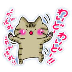 [LINEスタンプ] 宮古島方言（みゃーくふつ）スタンプ2